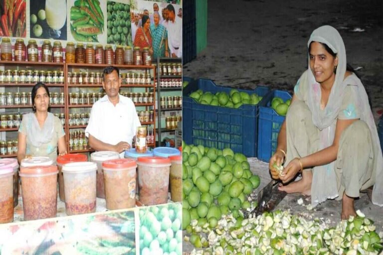 ക‌ടം വാങ്ങിയ 500 രൂപ കൊണ്ട് 5 കോടി അച്ചാർ സാമ്രാജ്യം കെട്ടിപ്പടുത്ത കൃഷ്ണ എന്ന പെൺകരുത്ത്
